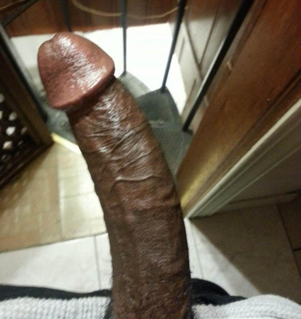 Big Brown Dick 83