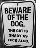 beware of dog- also the cat suspicious.jpg