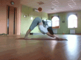 yoga8c.gif