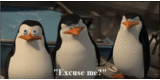 Mad-Rico-penguins-of-madagascar-38895101-500-251.gif