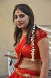 Reshmi Hot & Spicy In Navel Saree (02).jpg