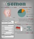 pic_Sperm-nutritionalFACTS.jpg
