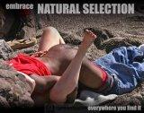 Natural Selection - Copy.jpg