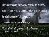 white_and_black_horses_running_by_my_lil_sempatico-d4dq2hk.jpg