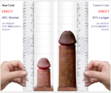 Cock Comparision.PNG