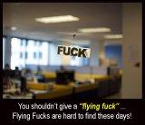 pic_FlyingFucks.jpg