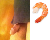 Shrimp Dick.png