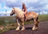 Mein Pferd mit Reiterin.jpg