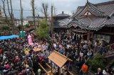 Asian-Kanamara Matsuri festival(Festival of the Steel Phallus)1g.jpg