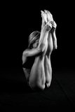 Erotica-Flexible.jpg