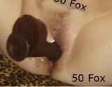 Fox 1.jpg