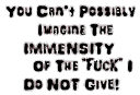 pic_GiveAFuck-immensity2.jpg