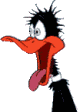 gif_DaffyDuck-Excited.gif