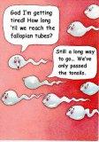 sperm.jpg