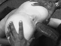 small_9236-black-dick-attacks-asian-pussy.gif
