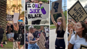 protest sign compilation.png