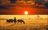 african-sunset-wallpaper-2.jpg