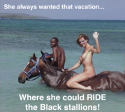 vacation ride.png