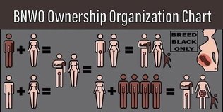 bnwo-ownership-organization-chart-v0-wfwfkujimwwa1.jpg
