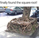 now-find-the-cube-root-v0-pzaj4isi6lec1.jpeg