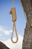 hangmans-noose-in-a-tree-bryan-mullennix.jpg