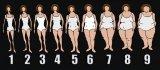 Women Body Type Scale.jpg