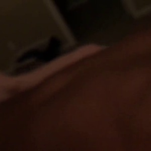 Cuck recording his hot wife and her BULL 2