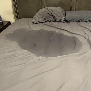 Soaked my bed