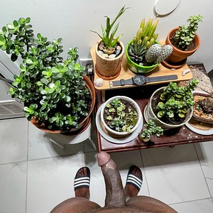 Hanging with my plants!