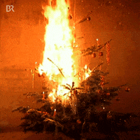 Burning Christmas Tree GIF by Bayerischer Rundfunk