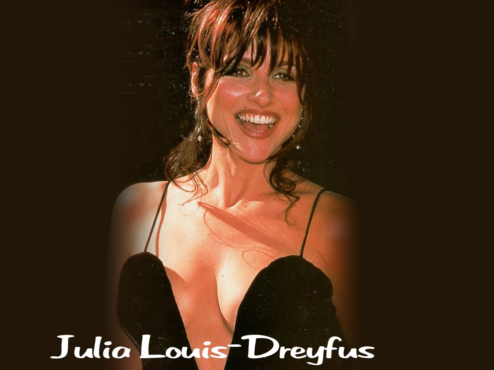 Julia-Louis-Dreyfus-julia-louis-dreyfus-32541911-1600-1200.jpg