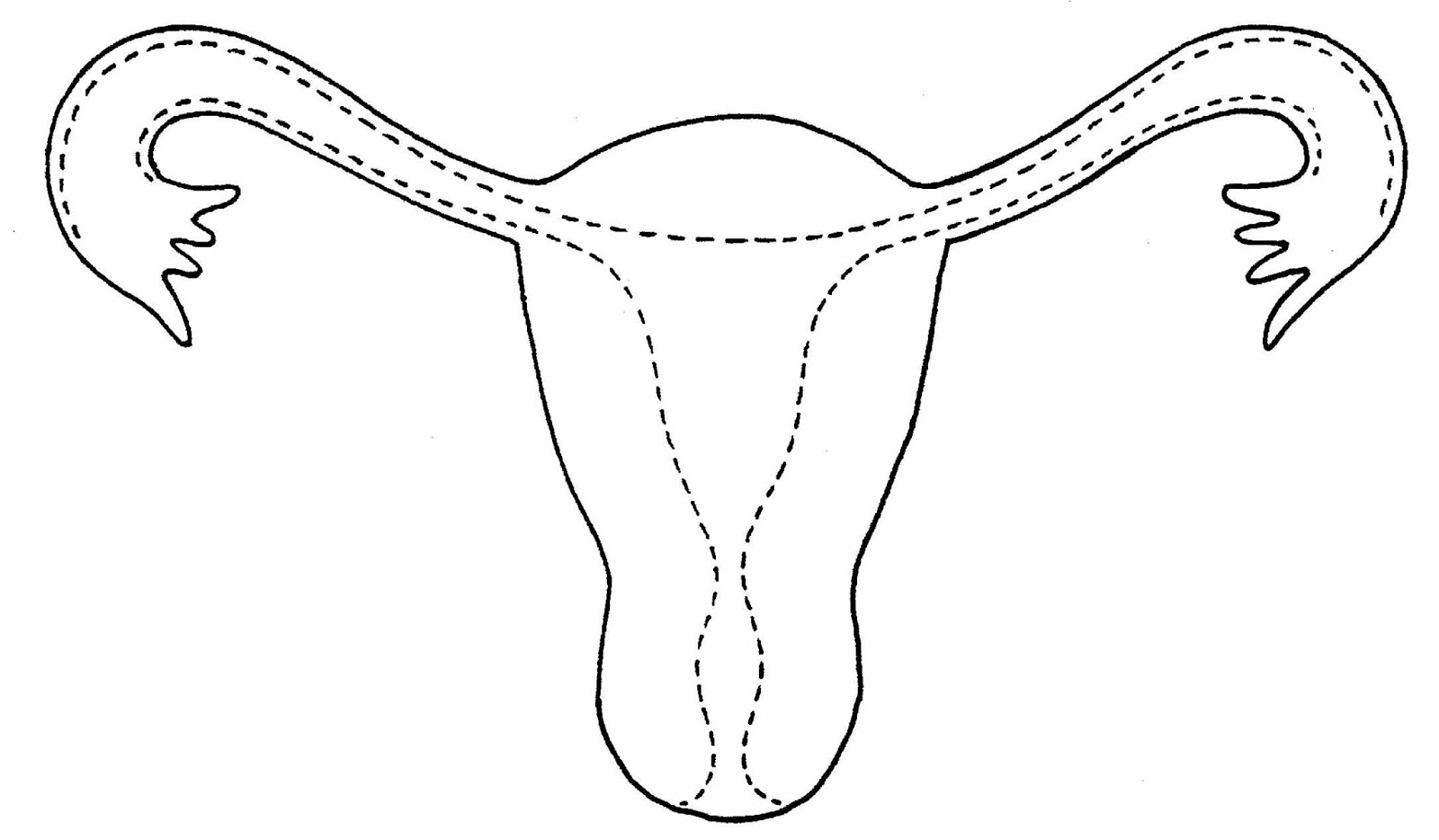 Fig.1.+Bull+head+as+womb.jpg