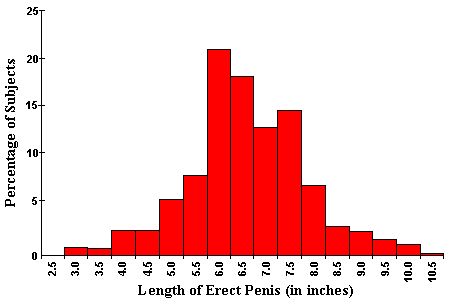 penis-length.gif