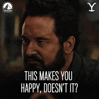 Doesnt It Paramount Network GIF by Yellowstone